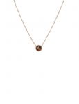 Lauren Ralph Lauren - Nk Logo Tort Pendant - Gld/Tort - Ripatsid - ONE SIZE 40.64 cm