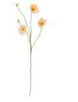 Bloomingville - Poppy Stem - Kuivatatud ja kunstlilled - H110CM