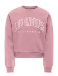 Kids Only - Kogsweat Ls Crew Ovz Stat Swt Noos - Dressipluusid - 122-128