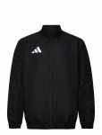 Adidas Performance - Ent26 Pre Jkt - Spordi treeningjakid - XXXL