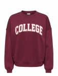 JDY - Jdymesa Life L/S O-Nk Emb Sweat Jrs Noos - Dressipluusid - L