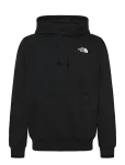 The North Face - M Evolution Box Nse Regular Hoodie - Spordi kapuutsiga pusad - XS