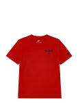 Nike - Nike World Cup Graphic Tee - L&uuml;hikeste varrukatega - 98/104