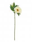Bloomingville - Peony Stem - Kuivatatud ja kunstlilled - H62CM
