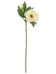 Bloomingville - Peony Stem - Kuivatatud ja kunstlilled - H62CM