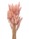 Cooee Design - Dried Flowers Lagurus Ash - Dried Flowers - ONE SIZE
