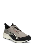 PUMA - Pounce Lite 2 Ptx - Spordi jooksujalatsid - 42