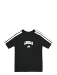 Adidas Sportswear - J Colleg T - L&uuml;hikeste varrukatega - 140