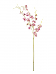 Bloomingville - Orchid Stem - Kuivatatud ja kunstlilled - H109CM