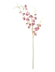 Bloomingville - Orchid Stem - Kuivatatud ja kunstlilled - H109CM