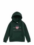 Gant - Archive Shield Raglan Hoodie - Kapuutsiga pusad - 110-116