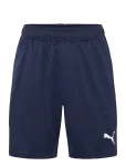 PUMA - Teamgoal Training Short - Spordi l&uuml;hikesed treeningp&uuml;ksid - S
