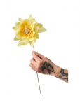 Studio About - Paper Flower - Kuivatatud ja kunstlilled - ONE SIZE