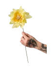 Studio About - Paper Flower - Kuivatatud ja kunstlilled - ONE SIZE