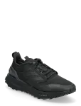 Adidas Performance - Pureboost 5 Climawarm - Spordi jooksujalatsid - 45 1/3