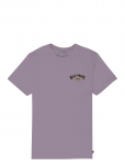 Billabong - Burn Out Tee Ss Boy - L&uuml;hikeste varrukatega - 128