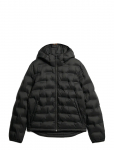 Superdry - Hooded Quilted Puffer Coat - Polsterdatud jakid - XL