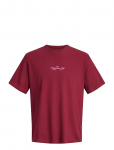Jack & Jones - Jorcassis Photo Back Tee Ss Crew Neck - L&uuml;hikeste varrukatega - L