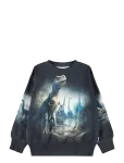 Molo - Mattis - Dressipluusid - 164