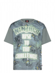 Lego Wear - Lego&reg; Ninjago&reg; T-Shirt S/S - Lwtaffy 308 - L&uuml;hikeste varrukatega s&auml;rgid - 104