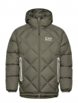 EA7 - Down Jacket - Polsterdatud jakid - XL