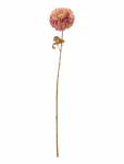 Bloomingville - Chrysantemum Stem - Kuivatatud ja kunstlilled - H73CM