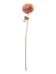 Bloomingville - Chrysantemum Stem - Kuivatatud ja kunstlilled - H73CM