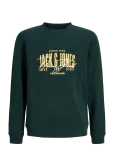 Jack & Jones - Jjaero Sweat Crew Neck Jnr - Dressipluusid - 152