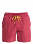 Quiksilver - Everyday Volley 15 - Spordi ujumisp&uuml;ksid - L
