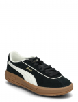 PUMA - Puma Club Klassika Sd - Madala s&auml;&auml;rega sporditossud - 40.5