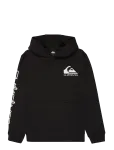 Quiksilver - Omni Logo Hoodie Youth - Kapuutsiga pusad - 10