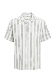 Jack & Jones - Jjecoba Stripe Resort Shirt Ss Sn - L&uuml;hikeste varrukatega s&auml;rgid - XXL