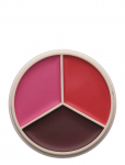Anastasia Beverly Hills - Magic Touch Blush Trio - P&otilde;sepunad - 9 G