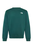 The North Face - M Evolution Box Nse Regular Crew - Spordidressipluusid - S