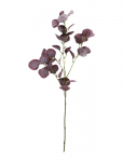 House Doctor - Artificial Branch, Hdeucalyptus, Bu - Kuivatatud ja kunstlilled - 20X 75CM