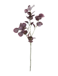 House Doctor - Artificial Branch, Hdeucalyptus, Bu - Kuivatatud ja kunstlilled - 20X75CM