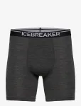 Icebreaker - Men Merino 150 Anatomica Long Boxers - Bokserid - S