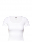 Aim&acute;n - Ribbed Performance Short Sleeve - Spordi l&uuml;hikeste varrukatega l&uuml;hikesed topid - L