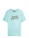 Tommy Hilfiger - Summer Text Graphic Tee - L&uuml;hikeste varrukatega - M