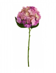 House Doctor - Artificial Flower, Hdhydrangea, Pin - Kuivatatud ja kunstlilled - 22X 50CM