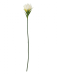 Bloomingville - Lily Stem - Kuivatatud ja kunstlilled - H76CM