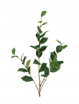 Bloomingville - Eucalyptus Stem - Kuivatatud ja kunstlilled - H110CM