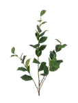 Bloomingville - Eucalyptus Stem - Kuivatatud ja kunstlilled - H110CM