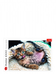 Trefl - Trefl 1000 Bit Cheerful Kitten - Klassikalised m&otilde;istatused - ONE SIZE