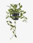 House Nordic - Hoya Artificial Plant, Green, H:33 Cm - Kuivatatud ja kunstlilled - 25.5X25.5XH33CM