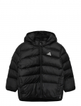 Adidas Sportswear - I Sd Jkt - Tepitud ja polsterdatud - 104