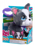 FurReal - Furreal Walk-A-Lots - French Bulldog - Interaktiivsed loomad - ONE SIZE