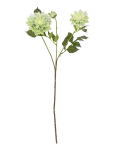 Bloomingville - Chrysantemum Stem - Kuivatatud ja kunstlilled - H75CM