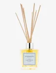 Tromborg - Aroma Therapy Room Diffuser Menthe - L&otilde;hnahajutajad - 200 ml