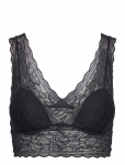 CHANTELLE - Floral Touch Wirefree Bra - Tugikaarteta rinnahoidjad - XL